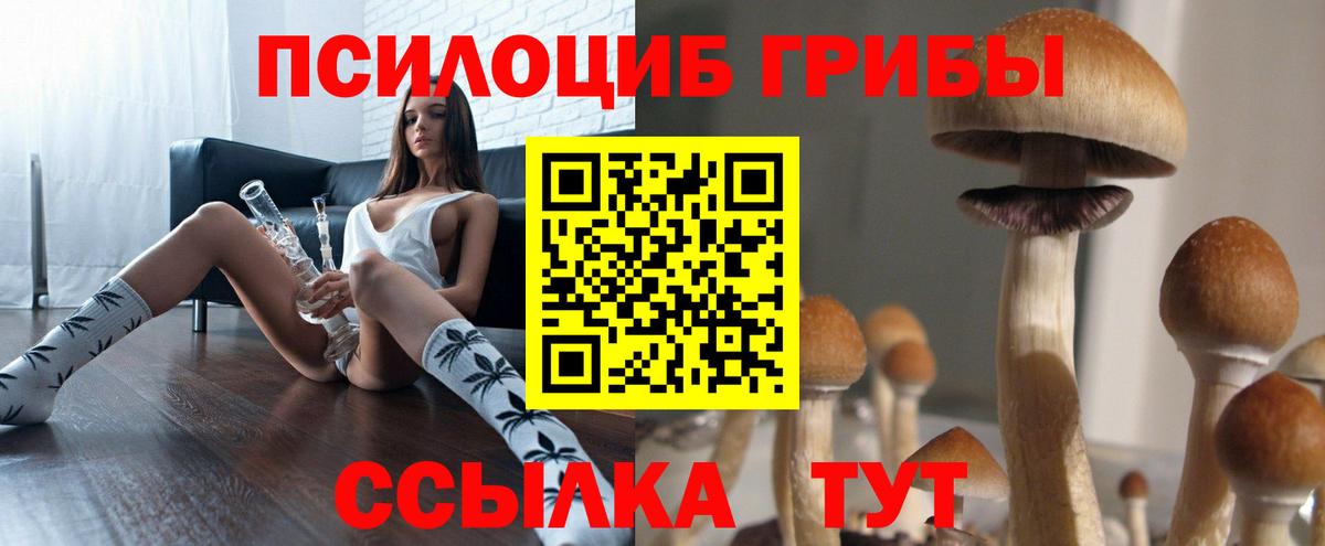 Галлюциногенные грибы ЛСД Кулебаки